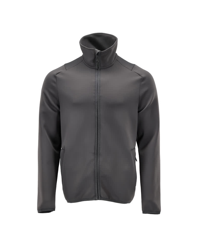 Gris anthracite